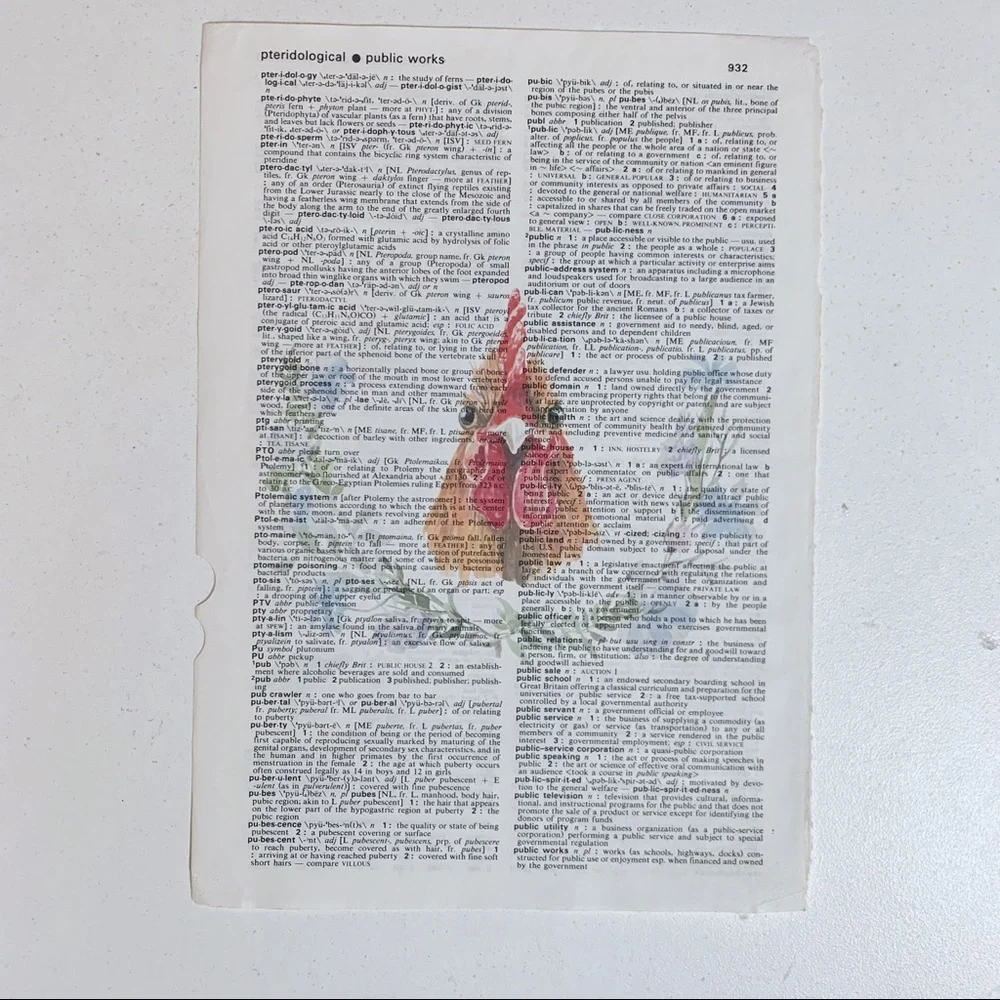 Dictionary Art Print, Chicken, Vintage Art Print, Dictionary Print